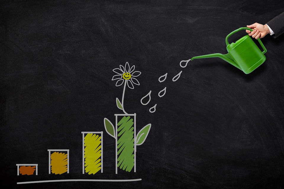 Master the Art of Investing: Tips and Tricks for Every Investor